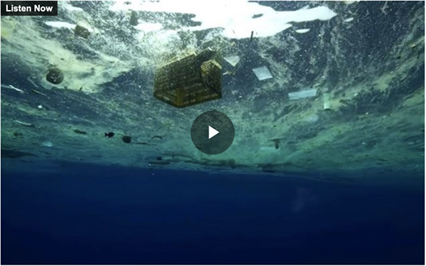 Plastic shredder hopes to clean up Pacific Ocean – NewstalkZB