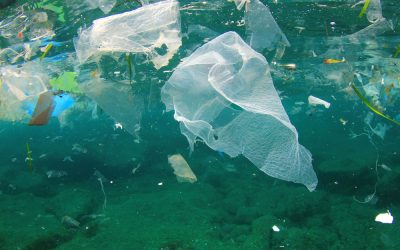 Plastic Pollution in the Ocean, Common Causes & Ways to Reduce – Plastic Collective