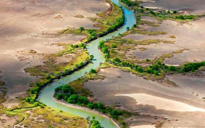 Wetlands not Wastelands Project