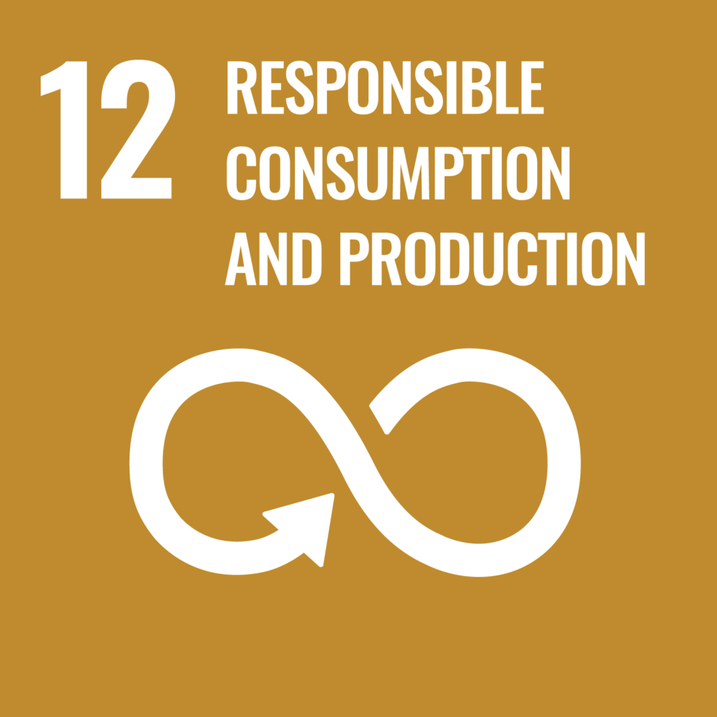 Target 12: Responsible Consumption & Production