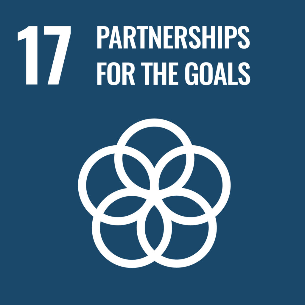 Target 17: Partnership for the Goals