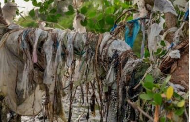 How is plastic pollution affecting Indonesia communities