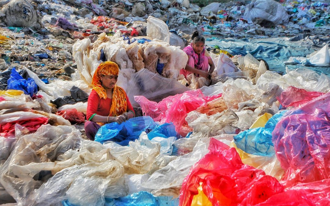Plastic Pollution Facts & Statistics