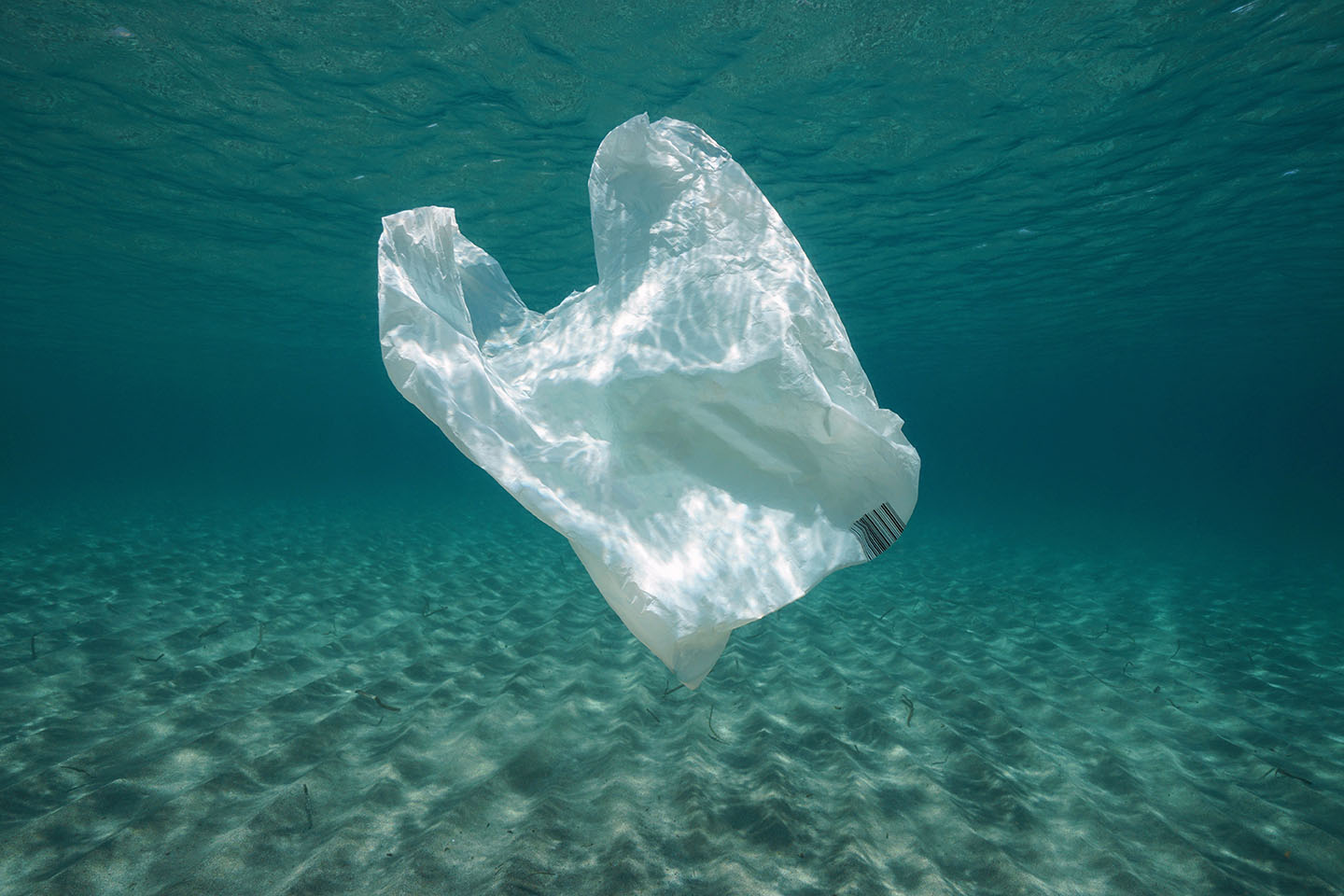 The Story of the World's Largest Floating Plastic Island (and What to Do  With It)